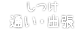 しつけ 通い・出張