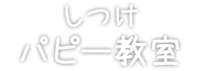 しつけ パピー教室