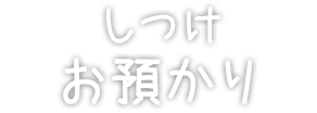 しつけ お預かり